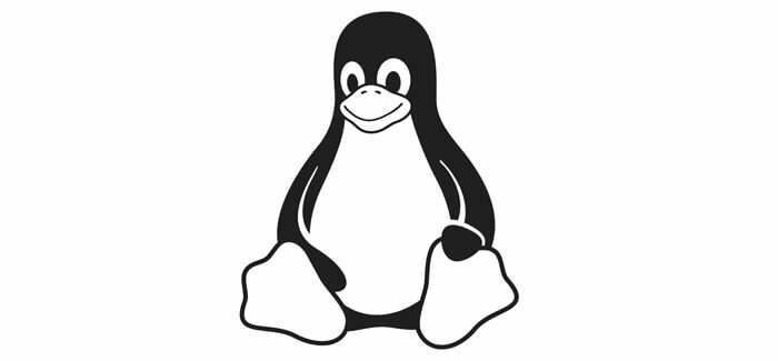 serversupport-linux